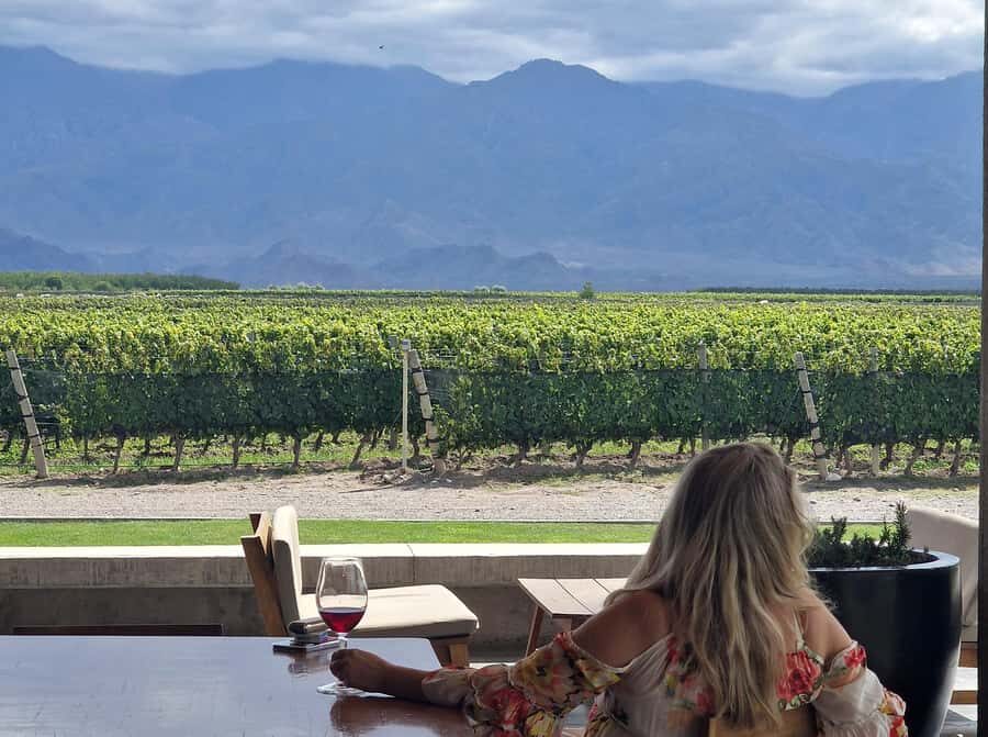 Uco Valley, Mendoza: One-Day Private Wine Tour Experience - What’s included versus what you’ll pay on the day