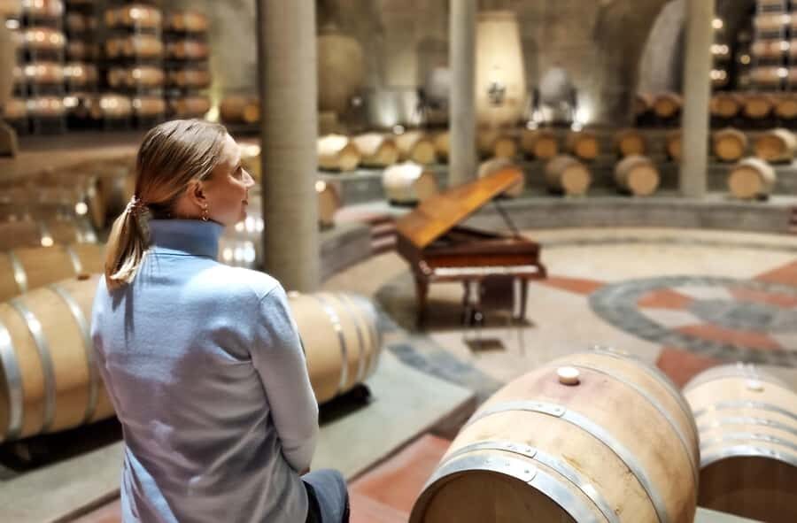Uco Valley, Mendoza: One-Day Private Wine Tour Experience - Lunch in the valley: empanadas and steak with a modern twist
