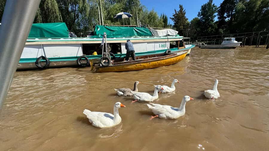 Unique Tigre and Delta Private Day Cruise Navegation - Private Door-to-Door from Buenos Aires (and Why It Matters)