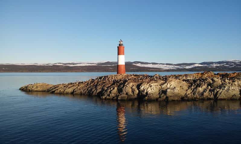 Ushuaia: Beagle Channel Catamaran Tour - Sea Lion Island: the closest you’ll get to “wild” without danger