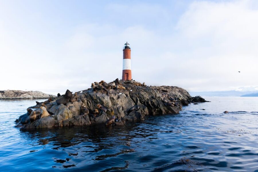 Ushuaia: Beagle Channel Catamaran Tour - The one real downside: photo service pressure