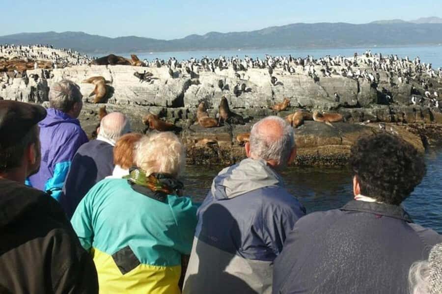 Ushuaia: Beagle Channel Penguin Colony Tour - Key highlights at a glance