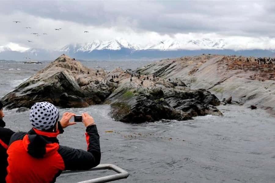 Ushuaia: Beagle Channel Penguin Colony Tour - Canoero Catamaranes: comfort, timing, and the group size reality