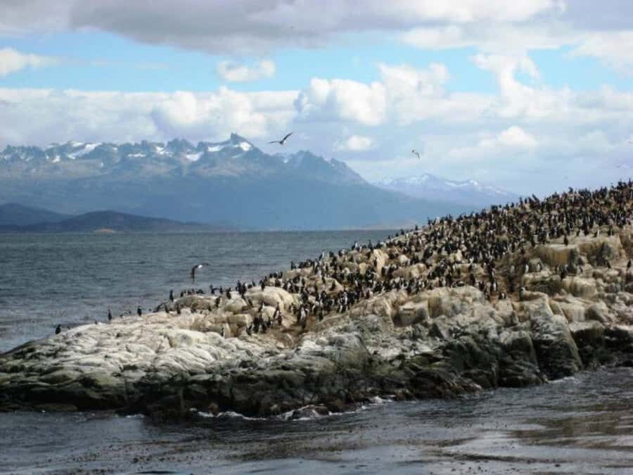 Ushuaia: Beagle Channel, Seal Island & Bridges Islands Tour - Les Eclaireurs Lighthouse: the classic end-of-the-world moment