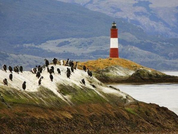 Ushuaia: Martillo Island and Walk Among Penguins Full-Day Tour - Key points before you go