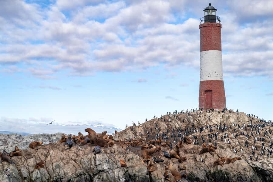 USHUAIA | Navigation: Sea Lions, Birds and Lighthouse - Should You Book This Ushuaia Navigation Tour?