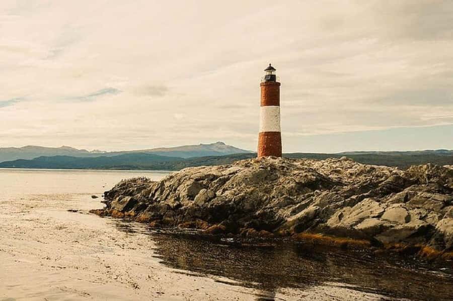 Ushuaia: Sailing Beagle Channel to the Penguin Colony - Key Things to Know Before You Go