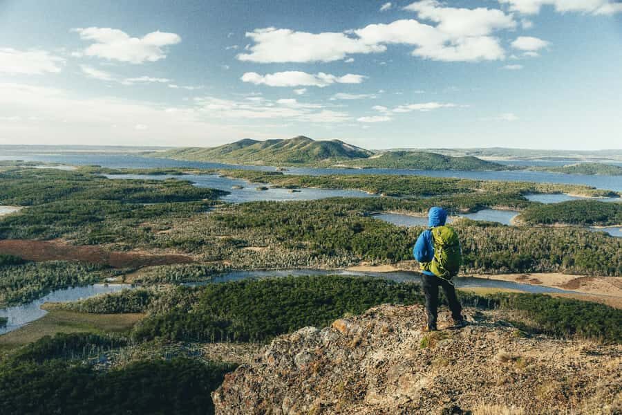 Ushuaia: Shared Experience "Tierra del Fuego" National Park - Ensenada Zaratiegui: the guided sub-antarctic forest moment