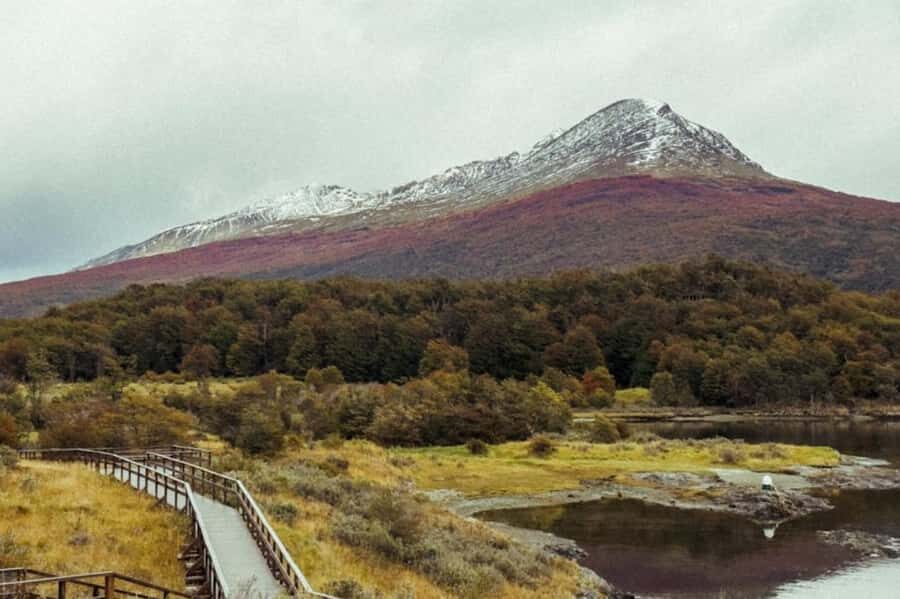 Ushuaia: Shared Experience "Tierra del Fuego" National Park - Verde Lagoon and the in-between scenery stops
