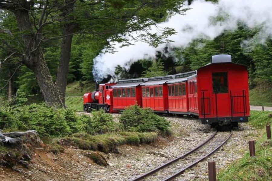 Ushuaia: Shared Experience "Tierra del Fuego" National Park - Who should book (and who should skip)
