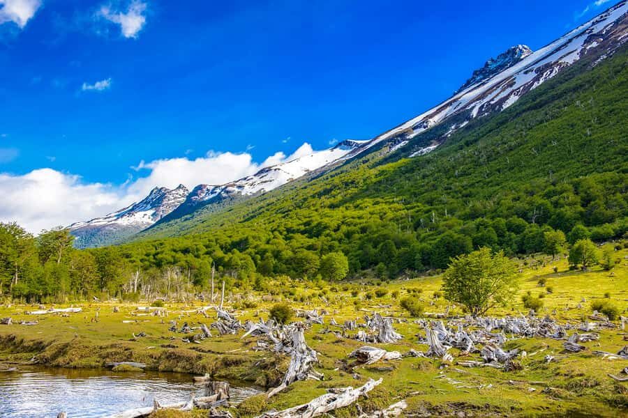 Ushuaia: Shared Experience "Tierra del Fuego" National Park - Getting started: hotel pickup and the optional Train of the End of the World