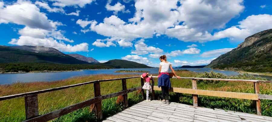 Ushuaia: Tierra del Fuego National Park Half-Day Tour - Summer vs. Winter: The Ensenada Bay Stop (and Why It Changes)