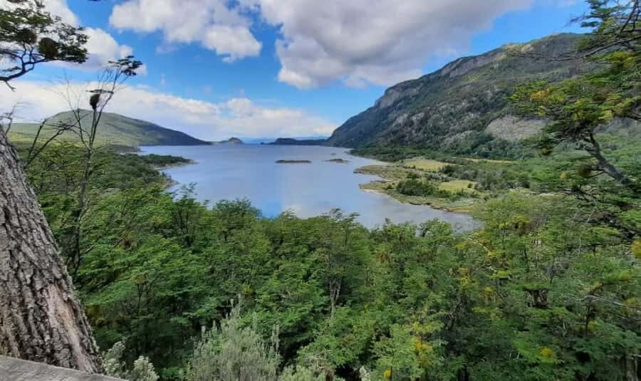 Ushuaia: Tierra del Fuego National Park Half-Day Tour - Practical Tips: What to Bring and How to Prepare
