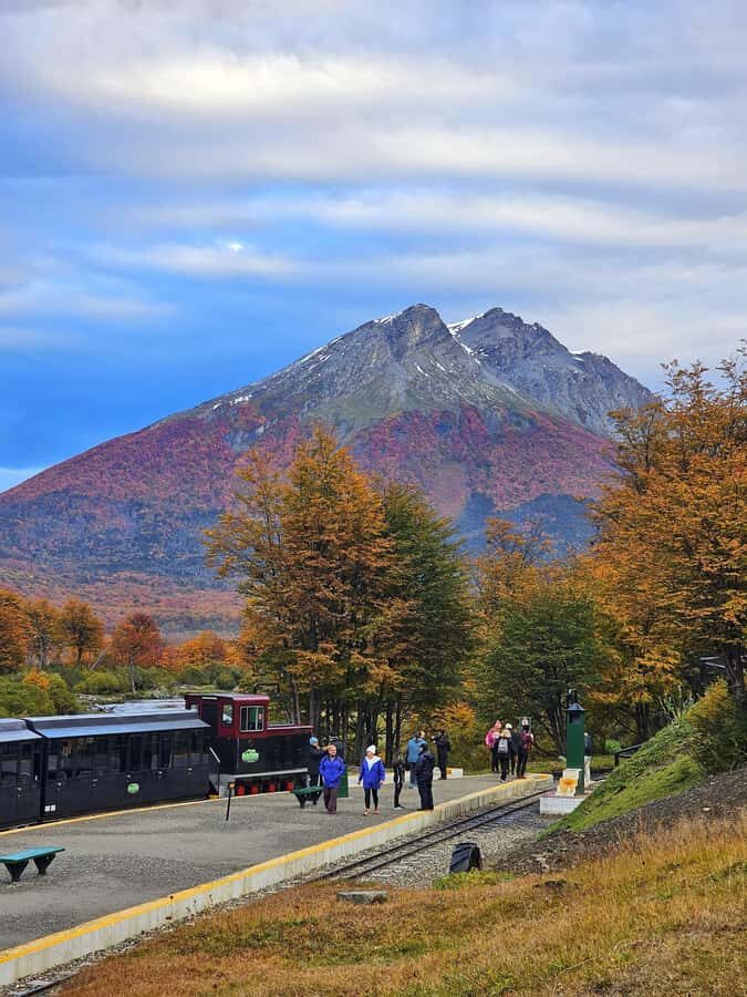 Ushuaia: Tierra del Fuego National Park Shore Excursion - Key things to know before you go