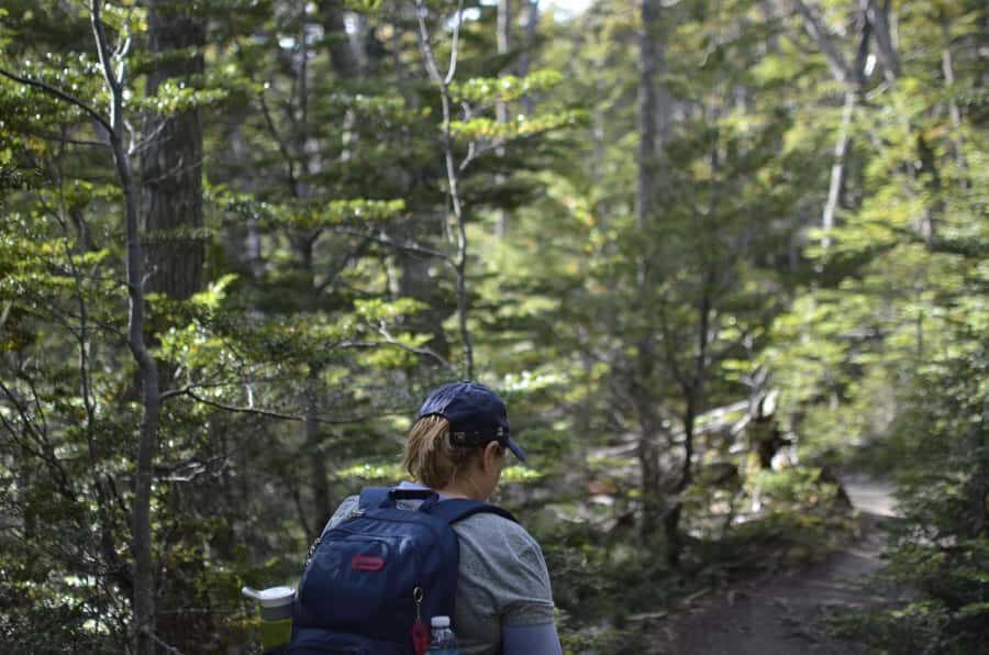 Ushuaia: Tierra del Fuego National Park Tour - Beagle Channel and archipelagos: the stops that make the region click