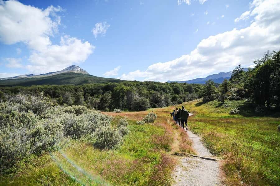 Ushuaia: Tierra del Fuego National Park Tour - Lapataia Bay: the end of South America route feeling, with a real walk