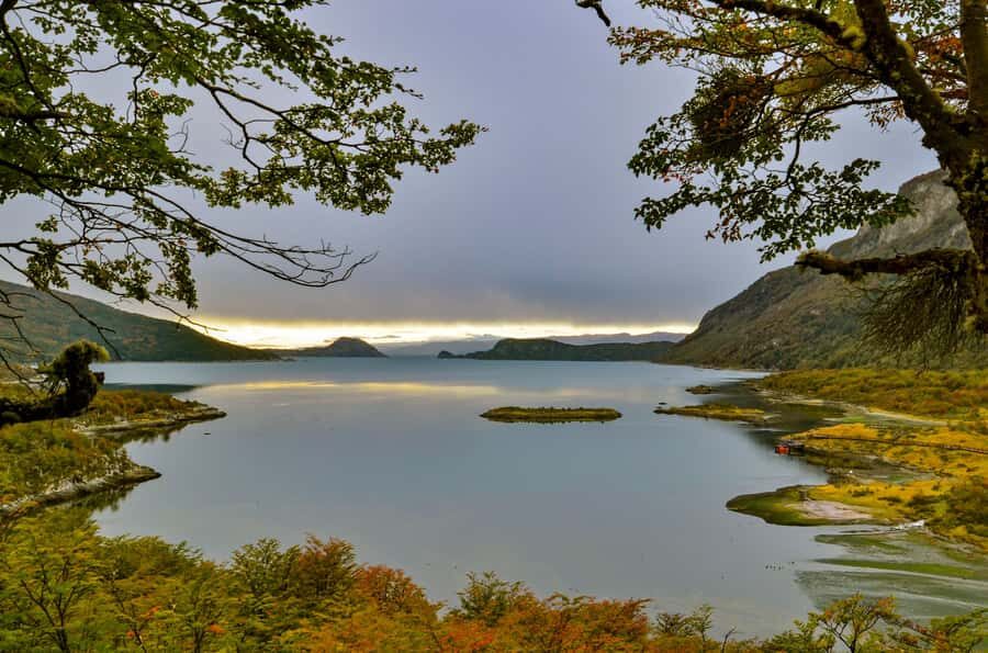 Ushuaia: Tierra del Fuego National Park Tour with Lunch - Key things to know before you go