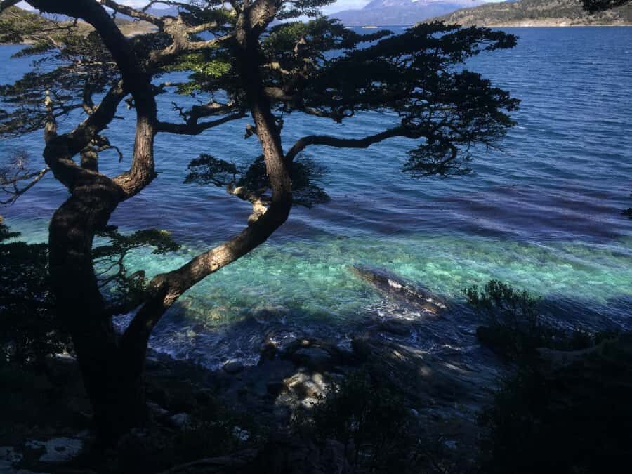 Ushuaia: Tierra del Fuego National Park Tour with Lunch - Rivers, lagoons, and Acigami Lake lunch in a calmer pocket