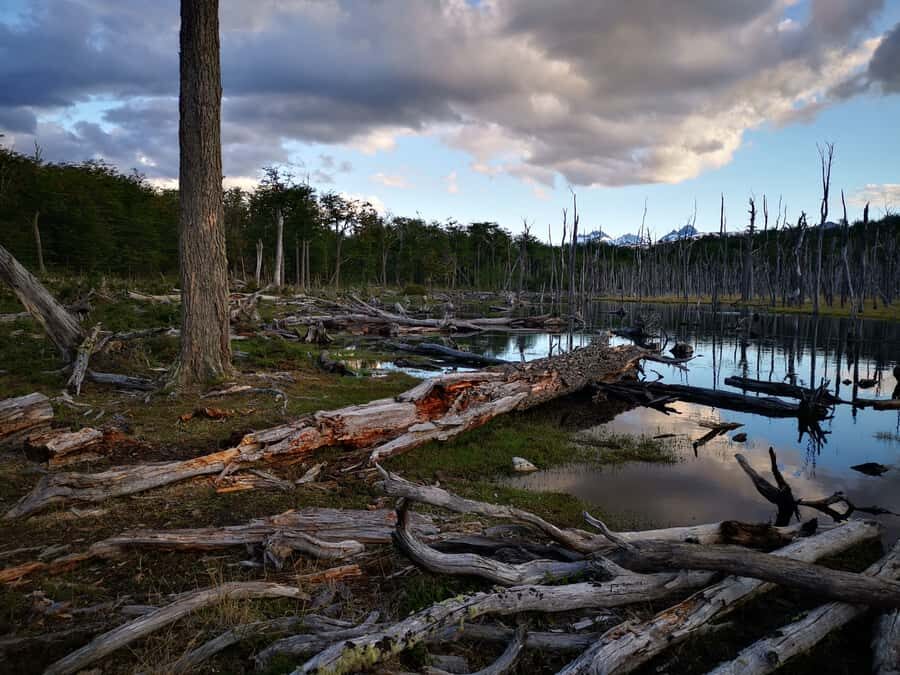 Ushuaia: Visit to Escondido and Fagnano Lakes PM - Logistics you should know before you book