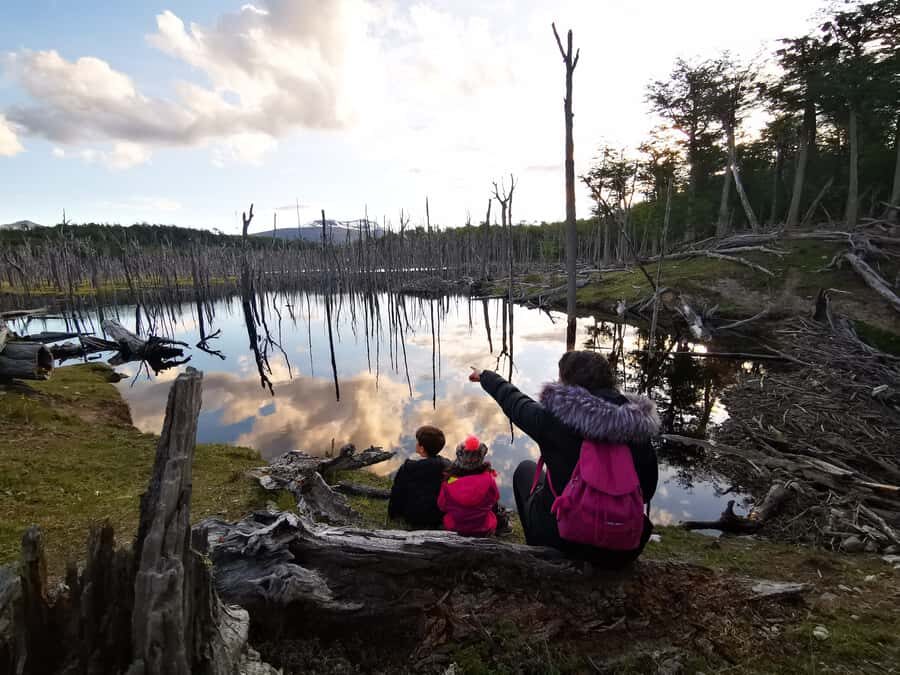 Ushuaia: Visit to Escondido and Fagnano Lakes PM - The Fagnano Lake coastline stops: why multiple viewpoints beat one big one