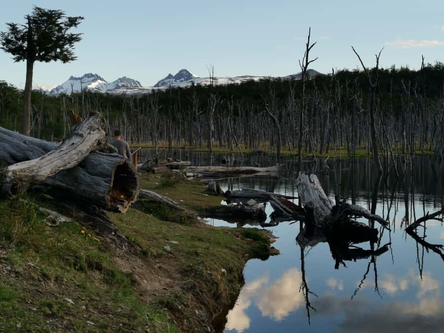 Ushuaia: Visit to Escondido and Fagnano Lakes PM - A historical country house on the route: coffee, sweets, and ranger stories