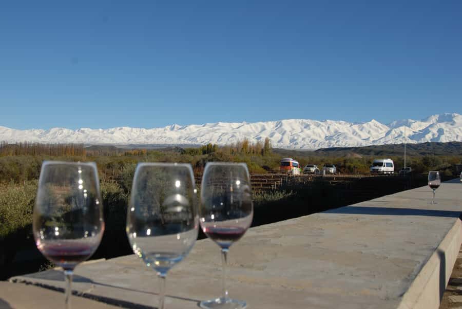 Valle de Uco: Private Full Day Wine Tour with 3-Course Lunch - Key highlights to notice before you go