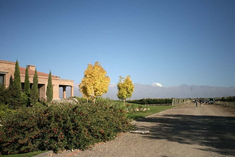 Valle de Uco: Private Full Day Wine Tour with 3-Course Lunch - Why Valle de Uco grapes taste different: pH, meltwater, and thermal swings