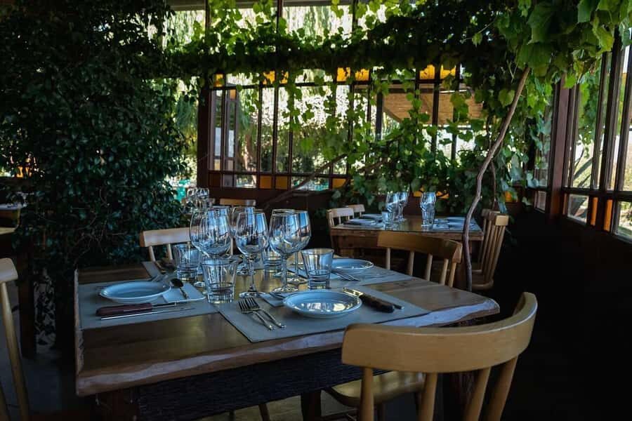 Visit & Tasting at Salentein + Lunch at La Azul - A Uco Valley day trip that stays organized (and why that matters)