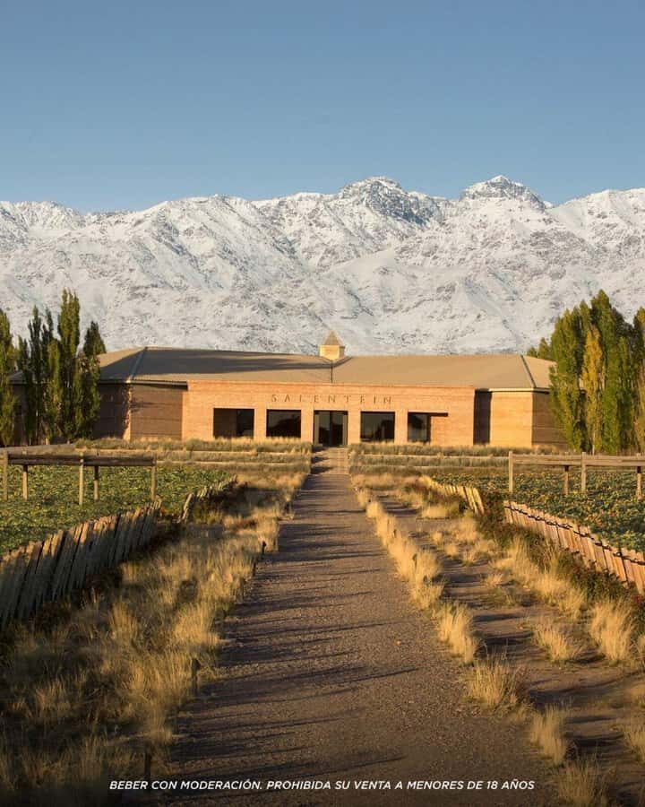 Visit & Tasting at Salentein + Lunch at La Azul - Lunch at La Azul: the real sit-down break