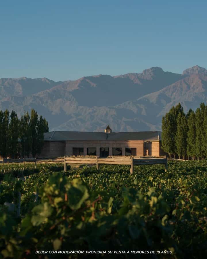 Visit & Tasting at Salentein + Lunch at La Azul - The schedule: what 7 hours really feels like