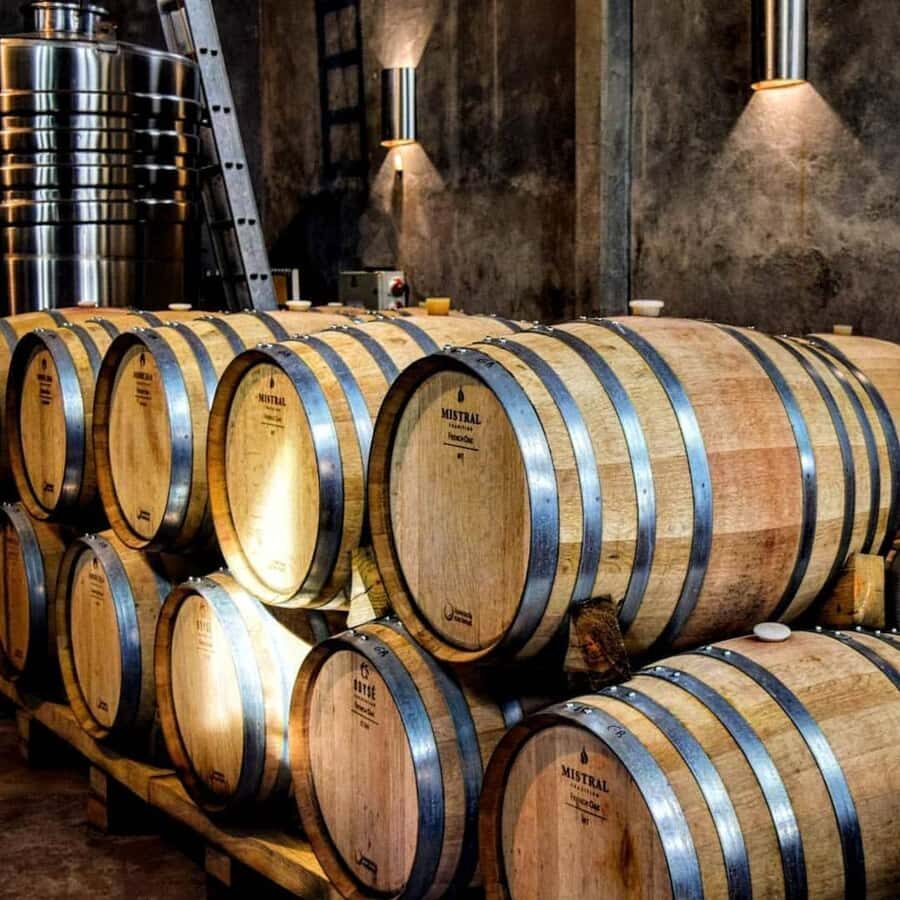 Visit & Tasting at Salentein + Lunch at La Azul - Who this tour fits best (and who might want a different plan)