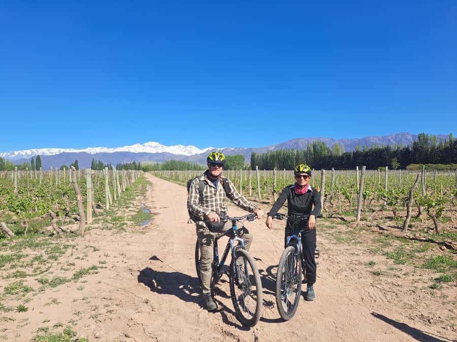 Wine and Chocolate Bike Tour: ride, taste, lunch, vineyards. - Key highlights you’ll feel fast