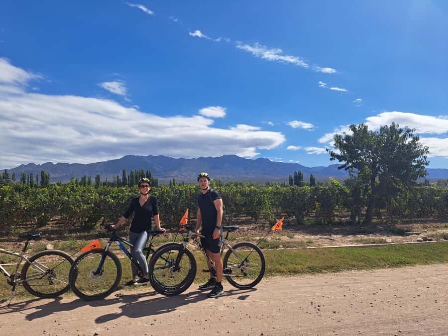 Wine and Chocolate Bike Tour: ride, taste, lunch, vineyards. - Andes views and vineyards: why biking beats a regular wine day
