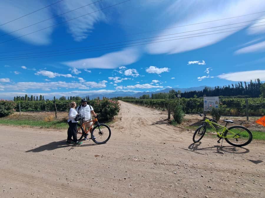 Wine and Chocolate Bike Tour: ride, taste, lunch, vineyards. - Finca Bandini: learning the vineyard-to-glass story