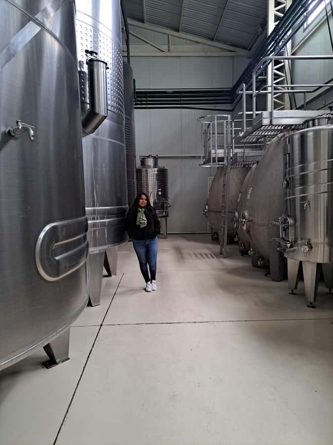 Wine and Chocolate Bike Tour: ride, taste, lunch, vineyards. - Durigutti Family Winemakers (Finca Victoria): winery interior + production focus