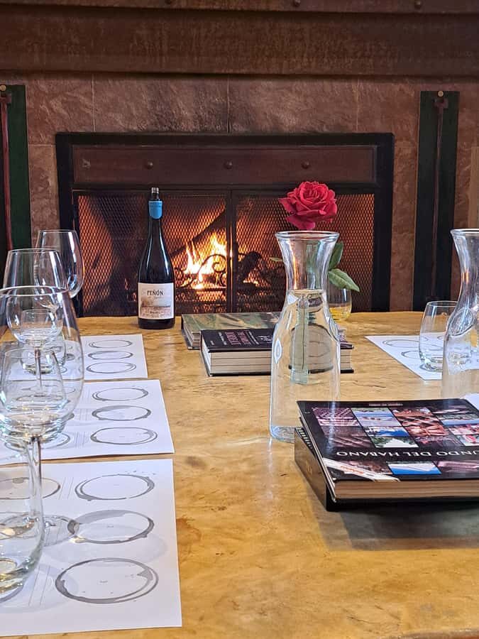 Wine and Chocolate Bike Tour: ride, taste, lunch, vineyards. - Price and value: what $200 buys in a full Mendoza day