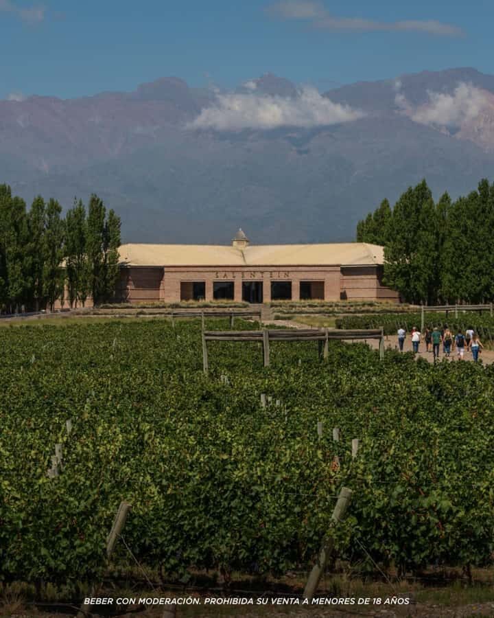 Wine Icons: Meet Salentein at the heart of Uco Valley - Private transportation value: comfort, timing, and fewer stress points