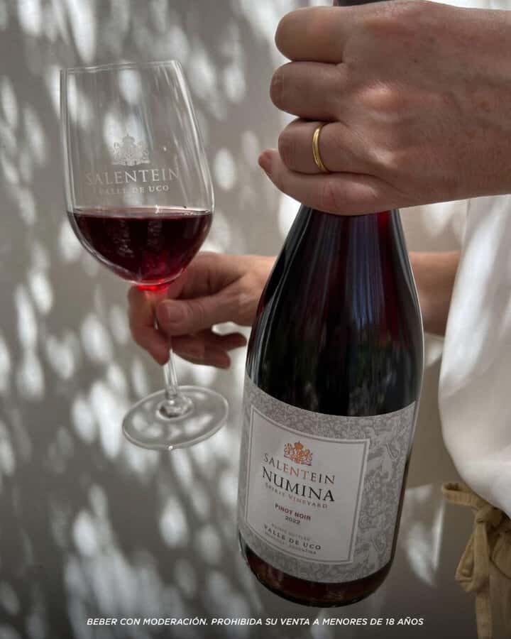 Wine Icons: Meet Salentein at the heart of Uco Valley - Who this tour suits best (and who should think twice)