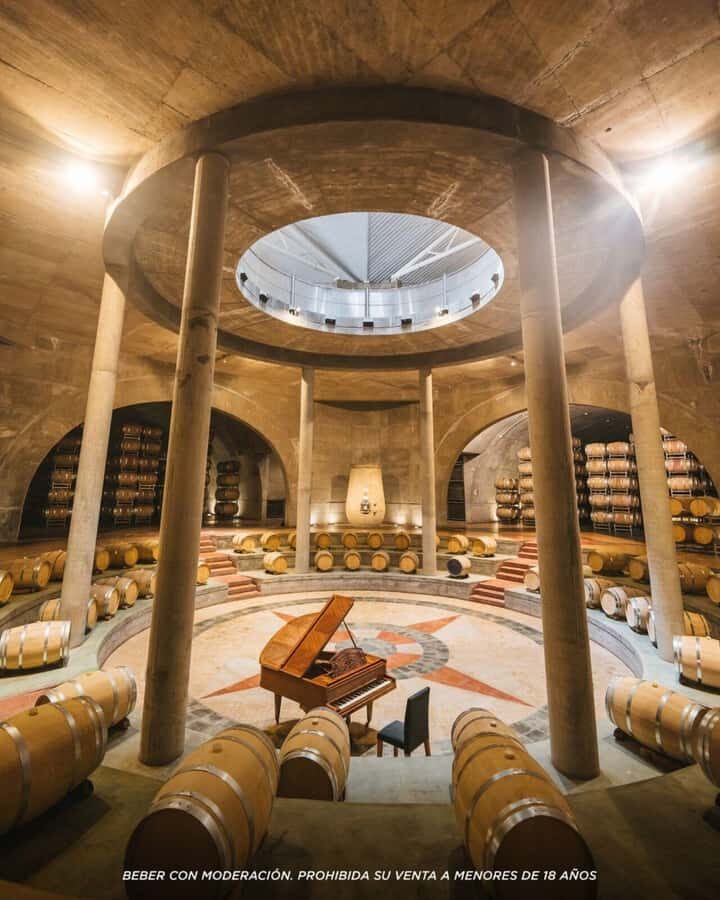 Wine Icons: Meet Salentein at the heart of Uco Valley - The guided winery and vineyard tour: what you’ll actually learn