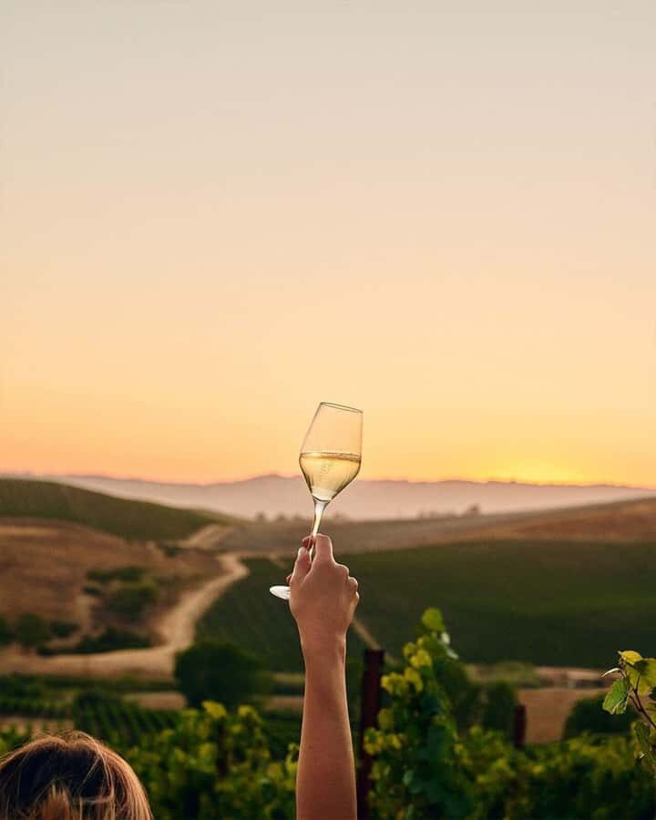 Wine Icons: Meet the sparkling world of Chandon - From Mendoza pickup to Luján de Cuyo: the easy start