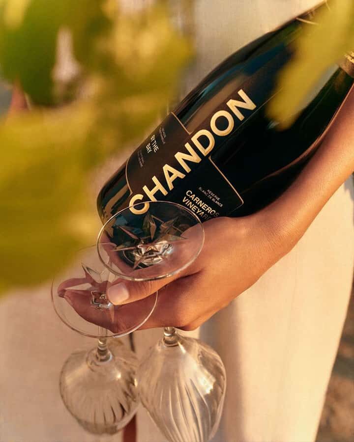 Wine Icons: Meet the sparkling world of Chandon - Lunch in Luján de Cuyo: how to decide if you should add it
