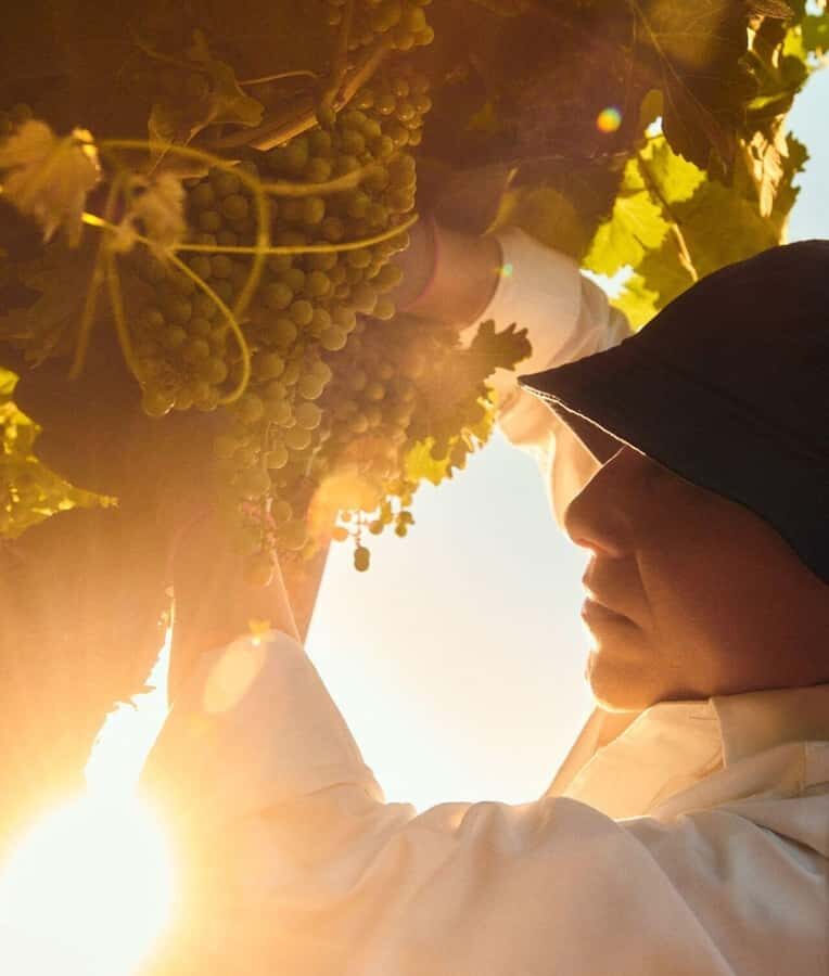Wine Icons: Meet the sparkling world of Chandon - Price and value: what $122 per person buys you