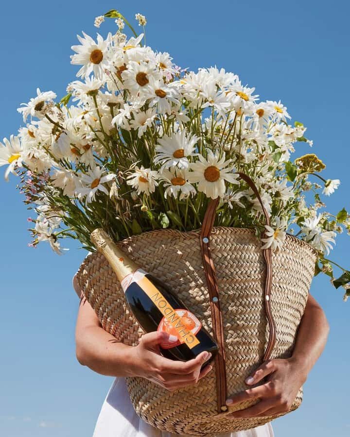 Wine Icons: Meet the sparkling world of Chandon - Should you book the Chandon bubbles tour?