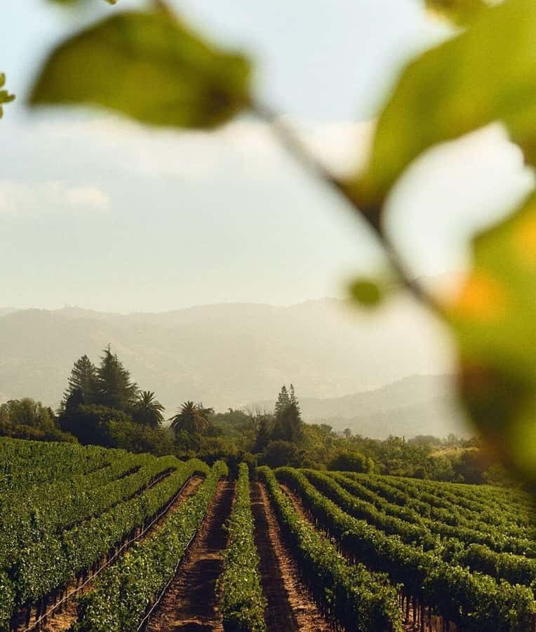 Wine Icons: Meet the sparkling world of Chandon - FAQ