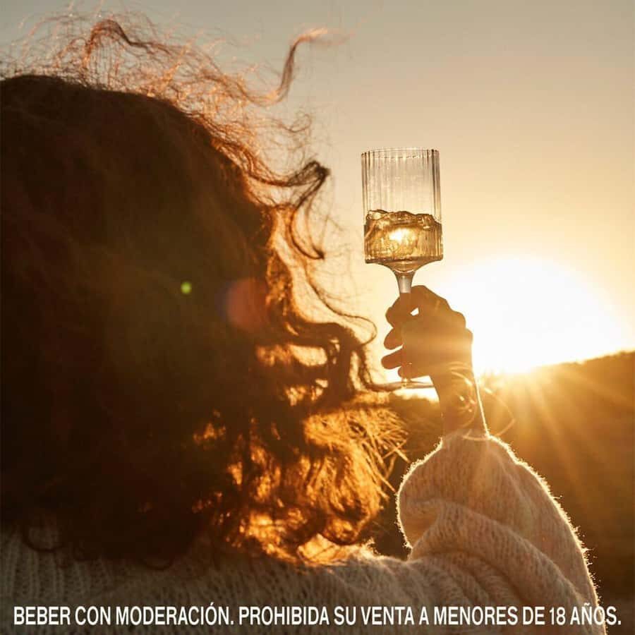 Wine Icons: Meet the sparkling world of Chandon - Inside Bodega Chandon: winery, gardens, enology area, tanks, cava