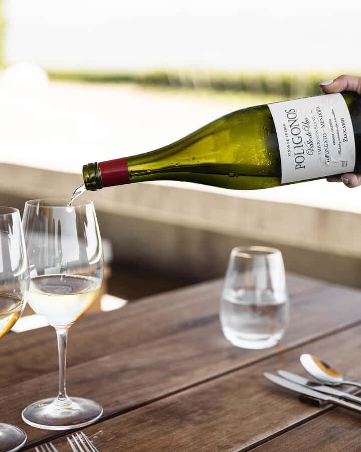 Zuccardi Legacy: A Journey Through Uco Valley’s Finest - Underground cellar (cave) tour: where aging becomes real