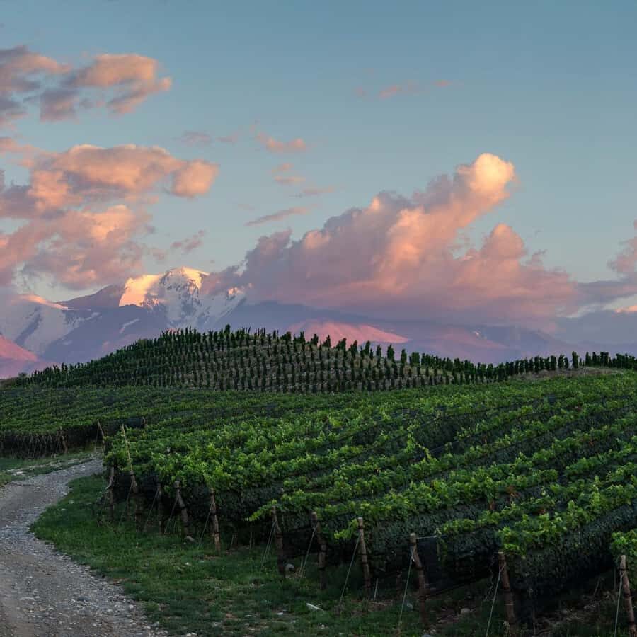 Zuccardi Legacy: A Journey Through Uco Valley’s Finest - The drive matters: private pickup, new vehicles, and real guidance